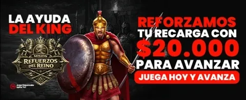 Recarga Diaria de Energía